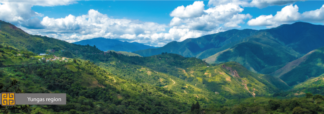 Yungas region Bolivia