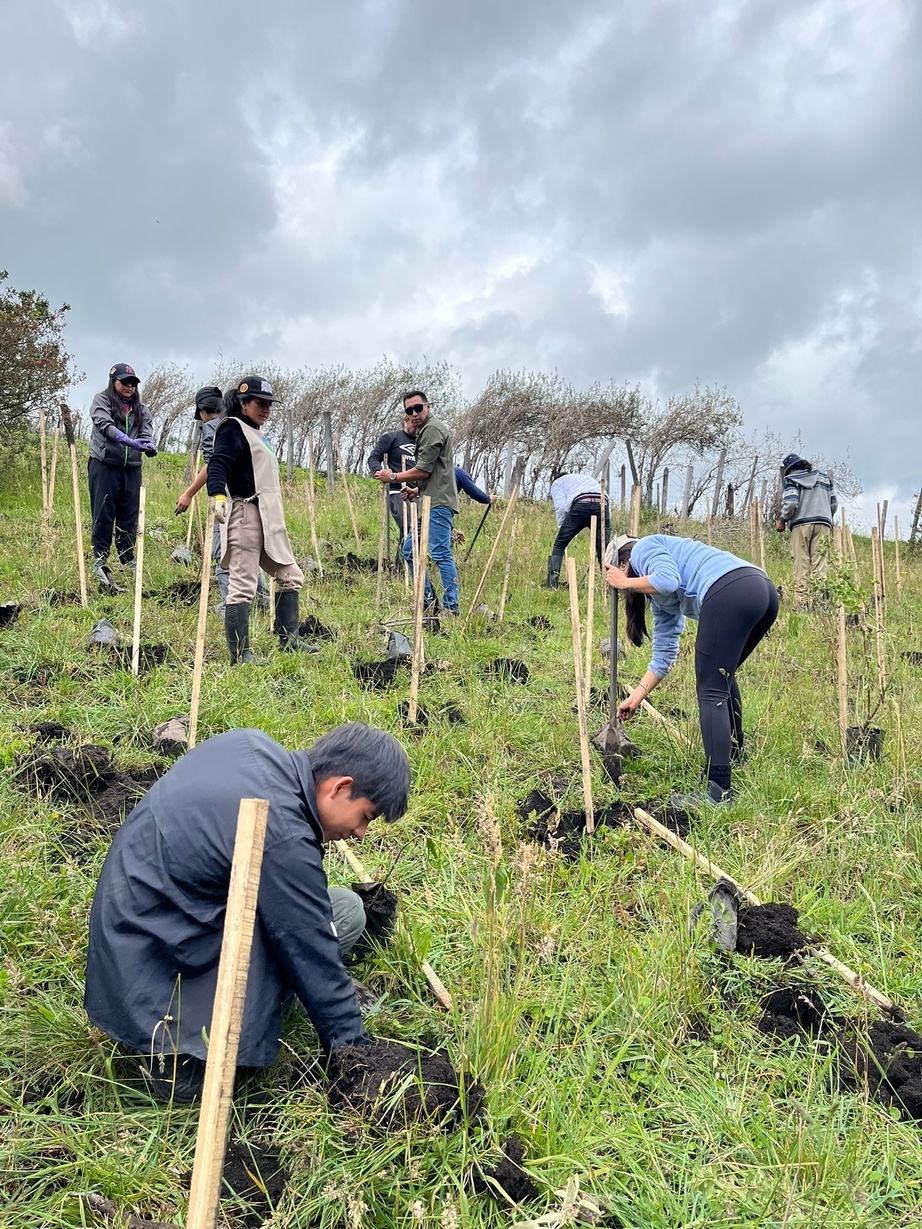 Reforestation initiatives in Colombia and Ecuador