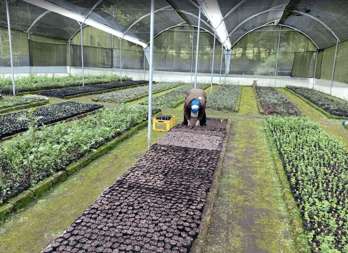 Protected high-Andean ecosystem